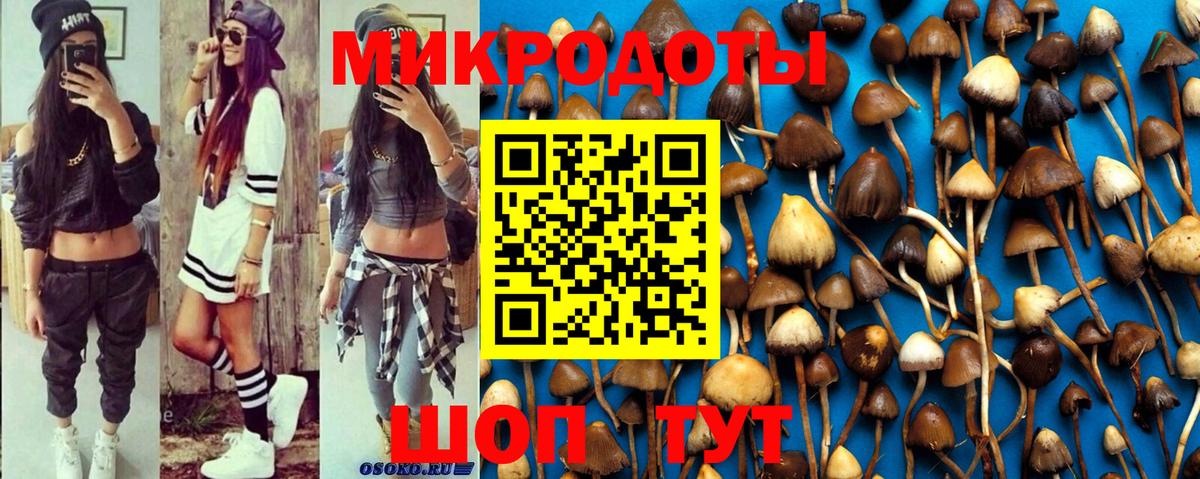 Галлюциногенные грибы Psilocybe  Псилоцибиновые грибы Psilocybe  Минусинск  где купить наркотик  Вход с VPN 