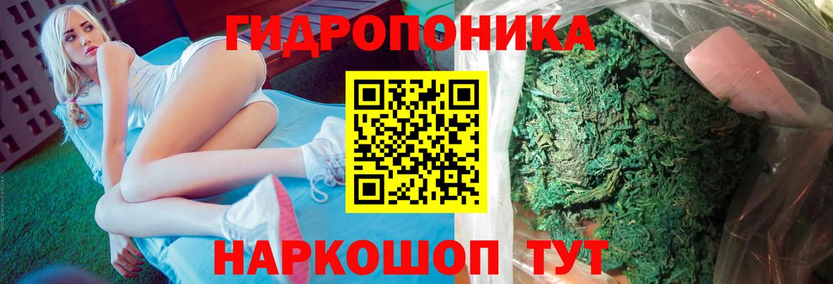 Шишки марихуана семена Минусинск